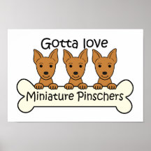 Three Miniature Pinscher Posters