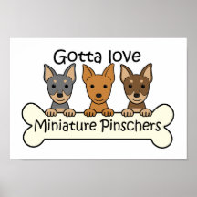 Three Miniature Pinschers Poster