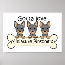 Three Miniature Pinschers Poster