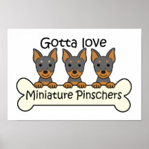 Three Miniature Pinschers Posters