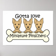 Three Miniature Pinschers Print