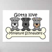 Three Miniature Schnauzers Poster