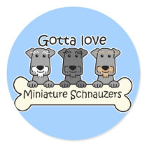 Three Miniature Schnauzers Round Stickers