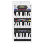 Three Modern Keyboards: Synthesizers: Customized Rack Card