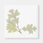 Three Oak Leaves Fridge Magnets