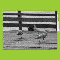 Three of a Kind Card cards