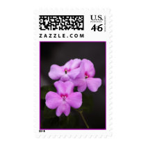 Three of a kind postage