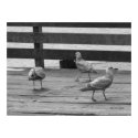 Three of a Kind Poster print