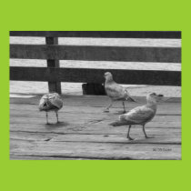 Three of a Kind Poster posters