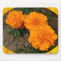 Three Orange Marigolds Design mousepad