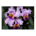 Three Orchids cards by JLWinther Three Orchids cards