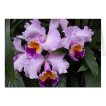 Three Orchids cards by JLWinther Three Orchids cards