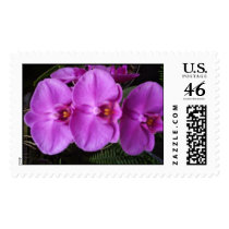 Three Orchids postage