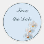 Three Orchids Round Stickers