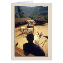 Three Ox Carts - Thailand Card