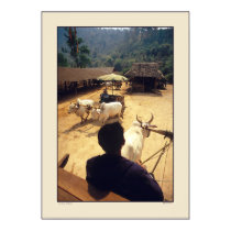 Three Ox Carts - Thailand Print