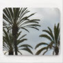Three Palm Trees