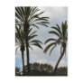 Three Palm Trees