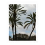 Three Palm Trees