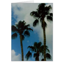 Three Palms cards