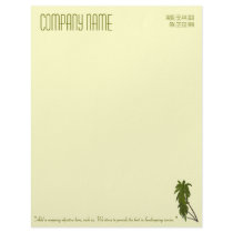 Three Palms Company Letterhead