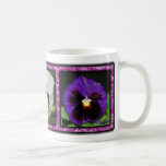 Three Pansies 01 Three Pansies 01