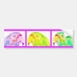 Three Parrots Bumper Sticker