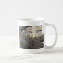Three Parrots on a tree Mugs