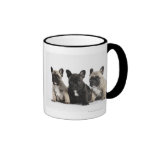 Three Pedigree Puppies Mug