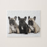 Three Pedigree Puppies Puzzles