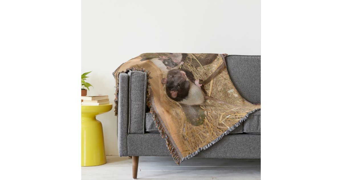 Three Pet Rats Throw Blanket Zazzle