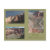souvenir, photographs, usa, travel, colorado,