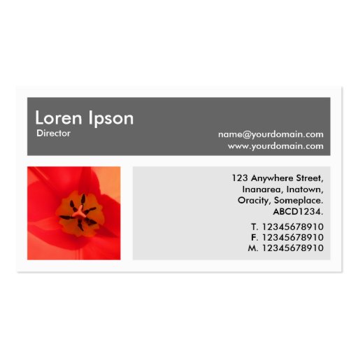 Three Photos Plus One - Gray Business Card Template (back side)