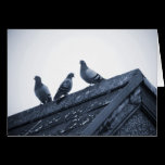Three Pigeons on a Roof cards