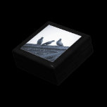 Three Pigeons on a Roof gift boxes