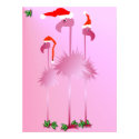 Three Pink Christmas Flamingos poster posters