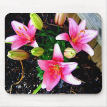 Three Pink Flowers mousepads