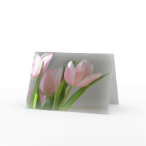 Three Pink Tulips cards