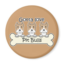 Three Pitbulls magnets