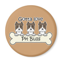 Three Pitbulls magnets
