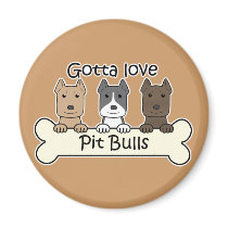 Three Pitbulls magnets
