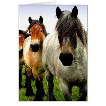 Three Ponies cards