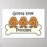 Three Poodles posters