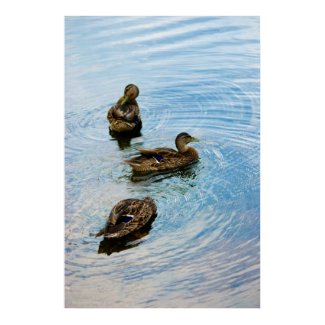 Three print