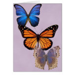 Three Pretty Butterflies Card