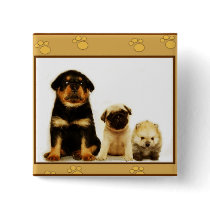 Three puppies button