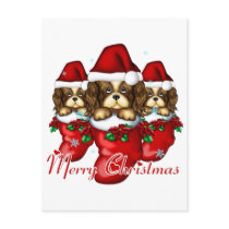 Three Puppies in Stockings postcards