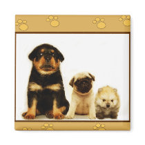 Three puppies magnet by ritmoboxer Three puppies magnet