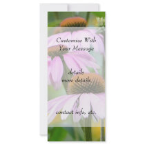 Three Purple Coneflowers Full Color Rack Card