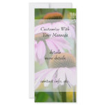 Three Purple Coneflowers Full Color Rack Card